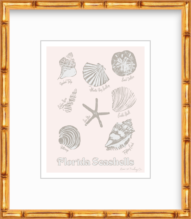 Florida Seashells Block Print by Nikki Degn Giclee Art Print