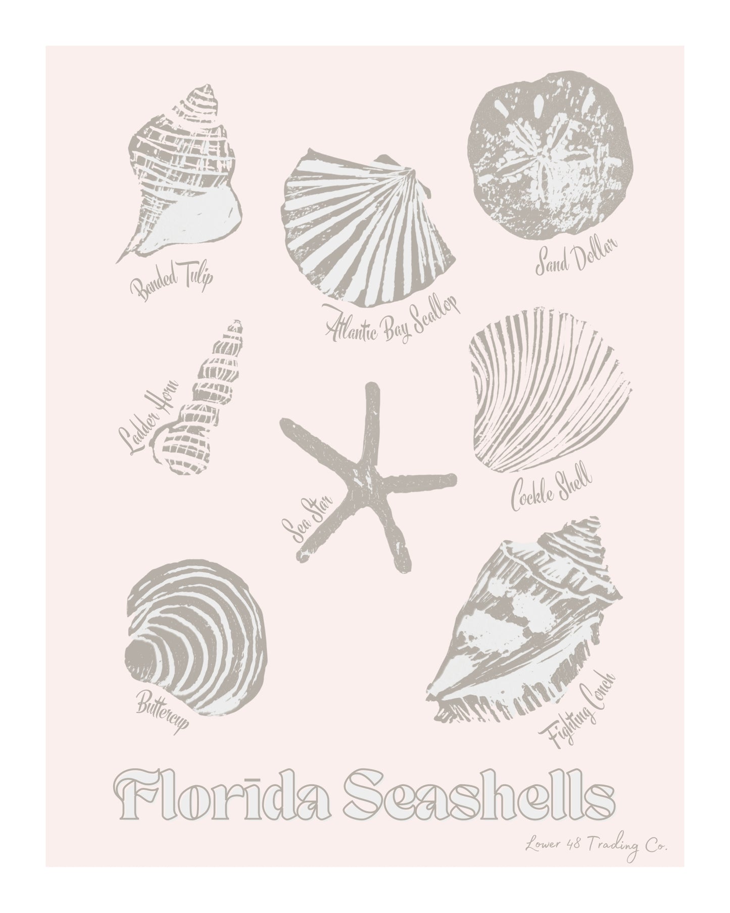 Florida Seashells Block Print by Nikki Degn Giclee Art Print