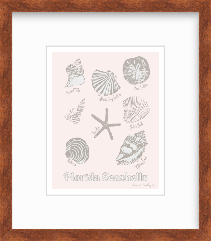 Florida Seashells Block Print by Nikki Degn Giclee Art Print