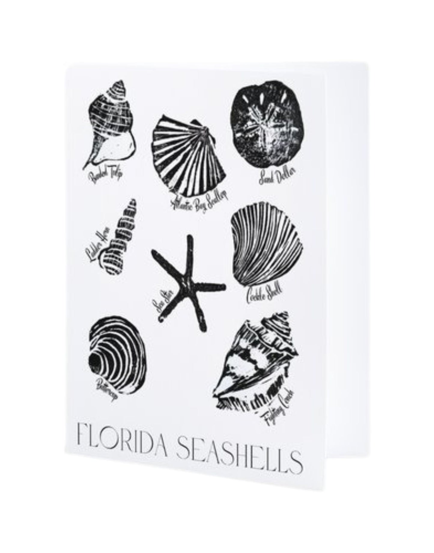 Florida Seashells Block Print Art Cards, Set of 5 Cards, Blank Inside