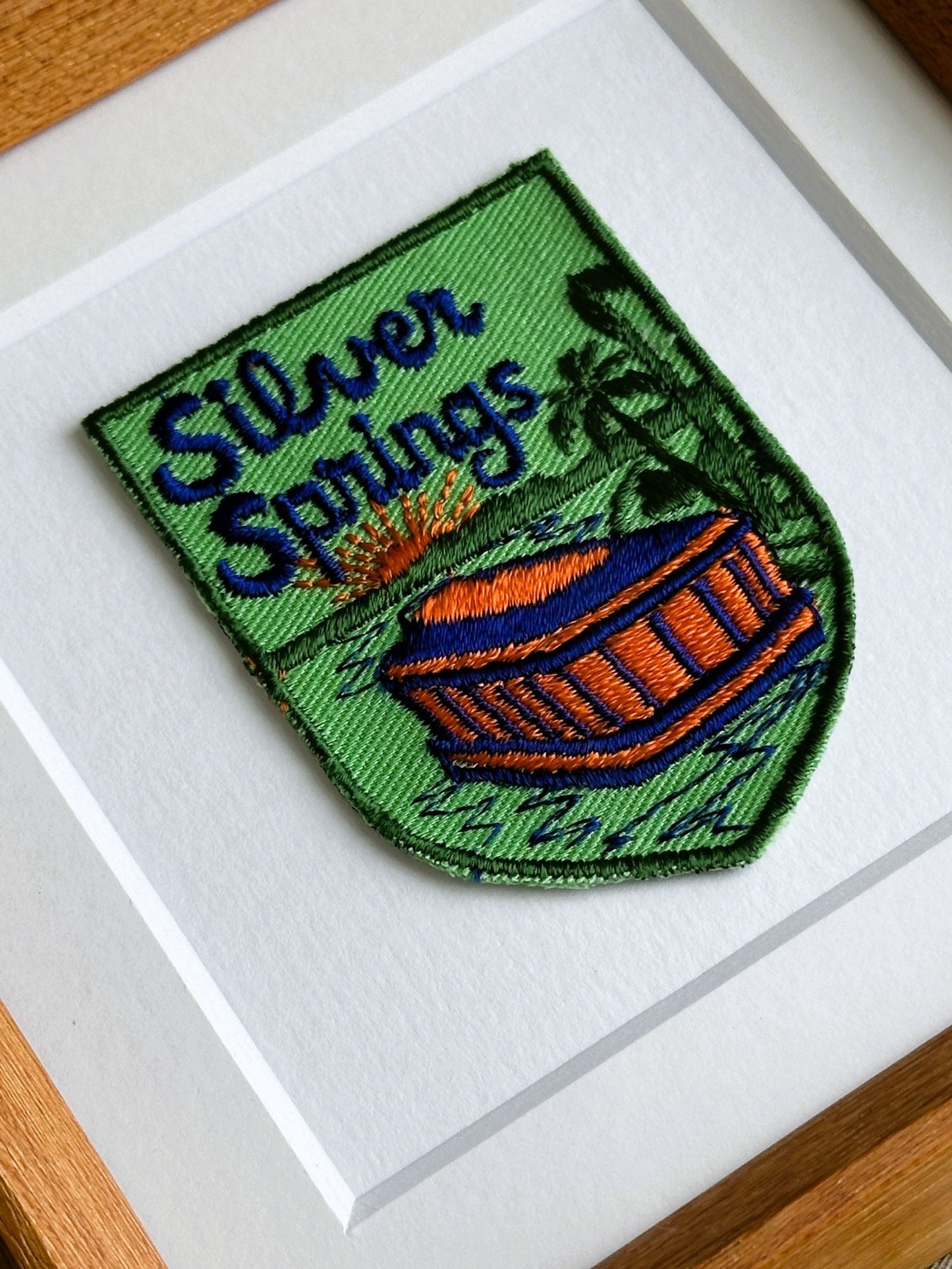 Florida Silver Springs Vintage Framed Travel Patch