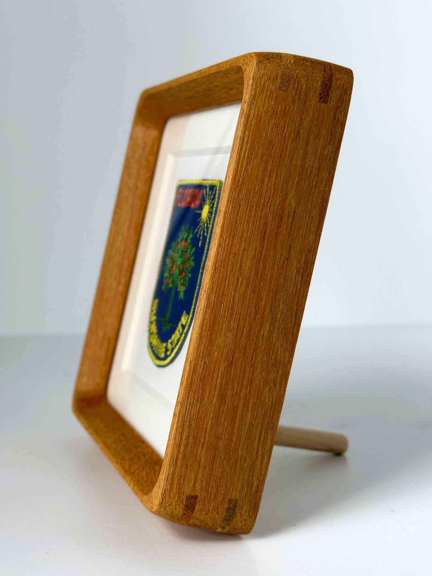 Florida Sunshine State Orange Tree Vintage Travel Patch Wood Framed