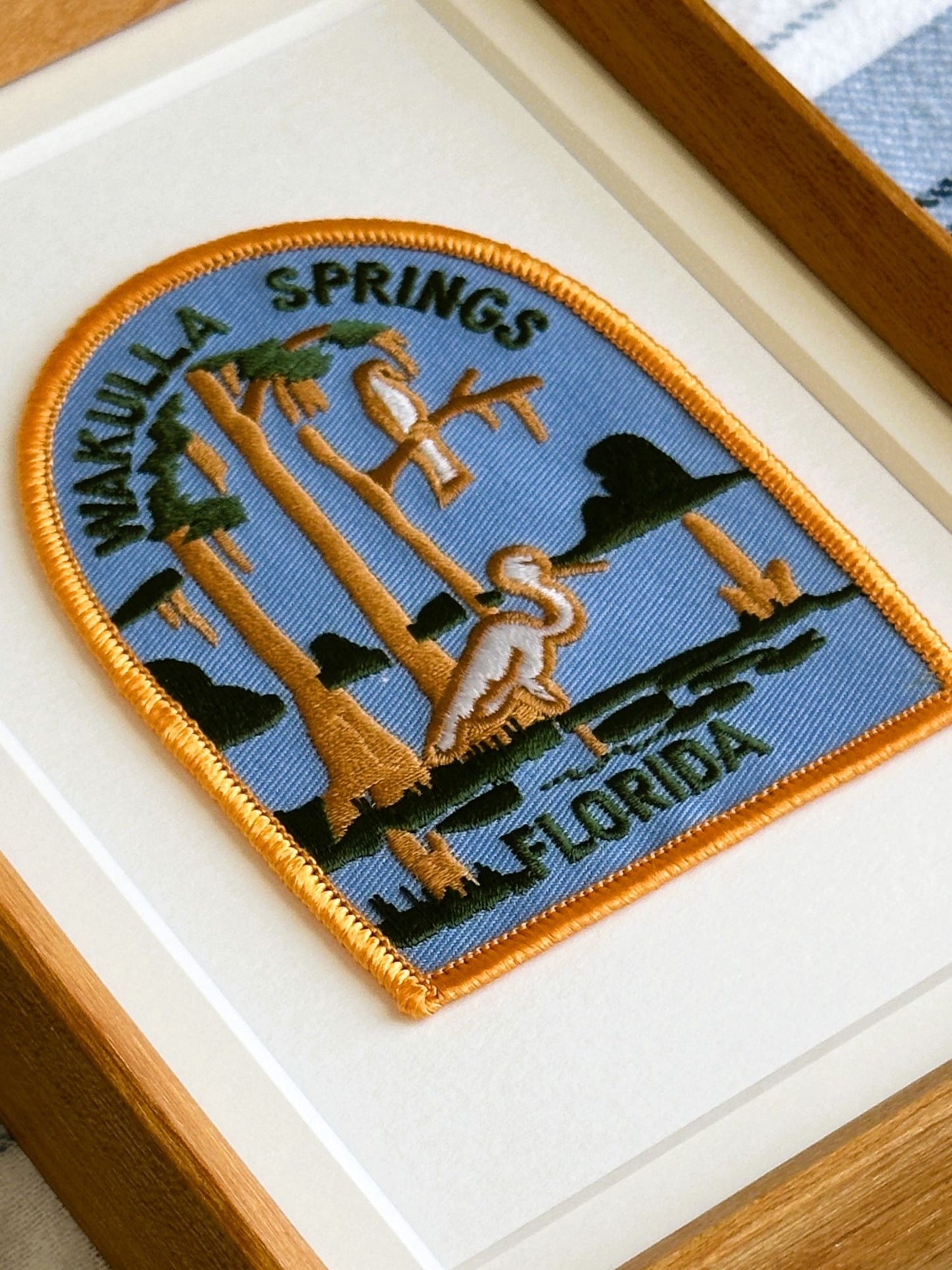 Florida Wakulla Springs Vintage Framed Travel Patch