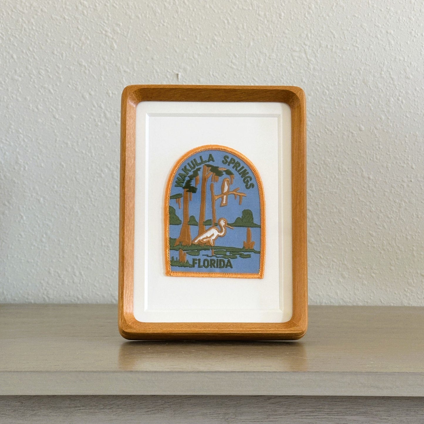 Florida Wakulla Springs Vintage Framed Travel Patch