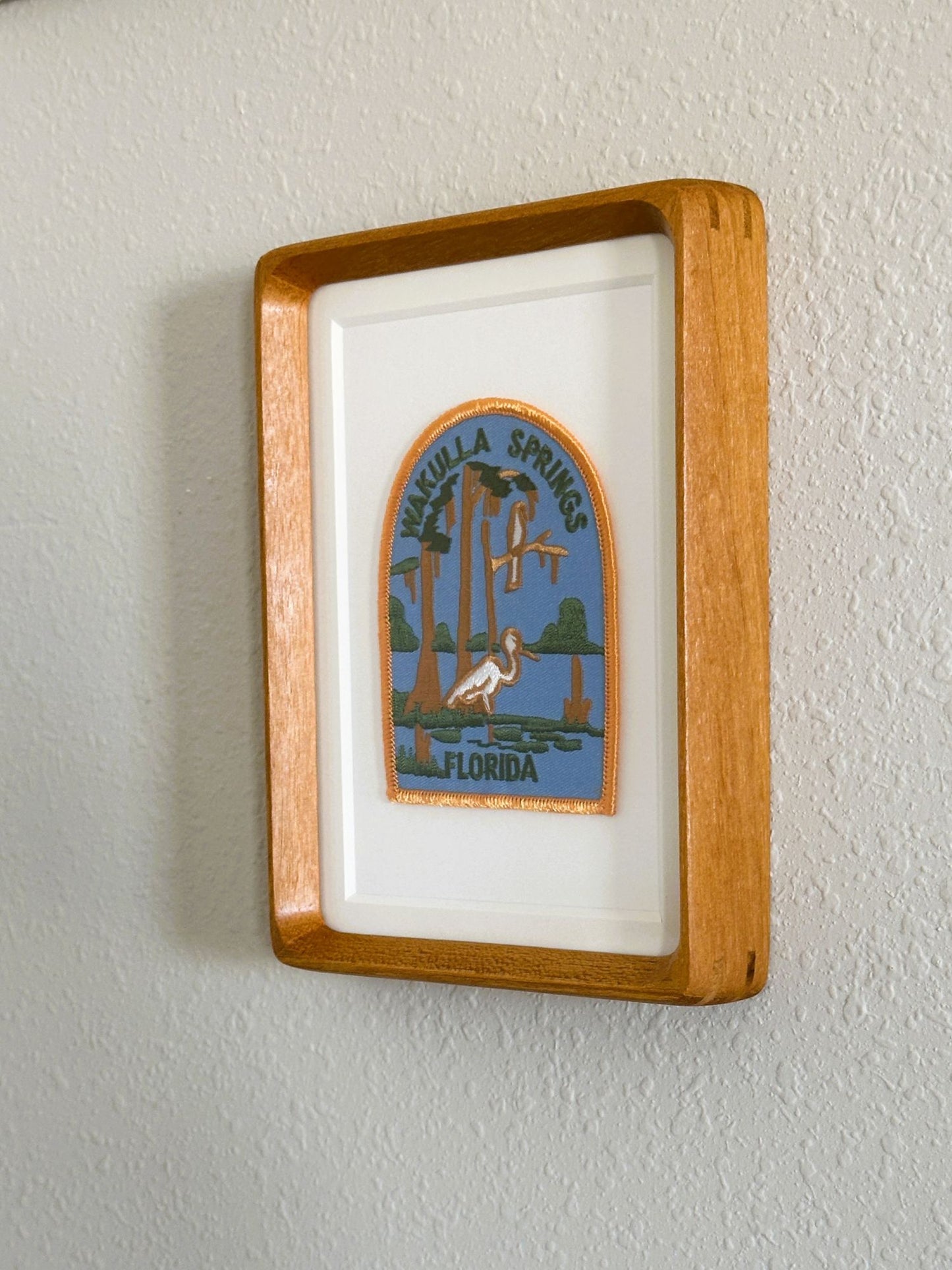 Florida Wakulla Springs Vintage Framed Travel Patch