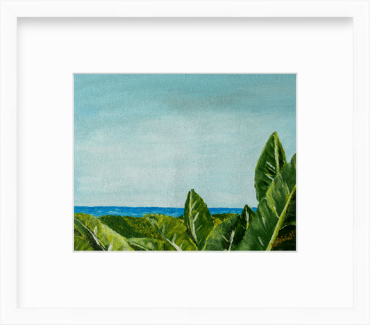 Florida Anna Maria Island Coastal View with Banana Plants Giclee Art Print