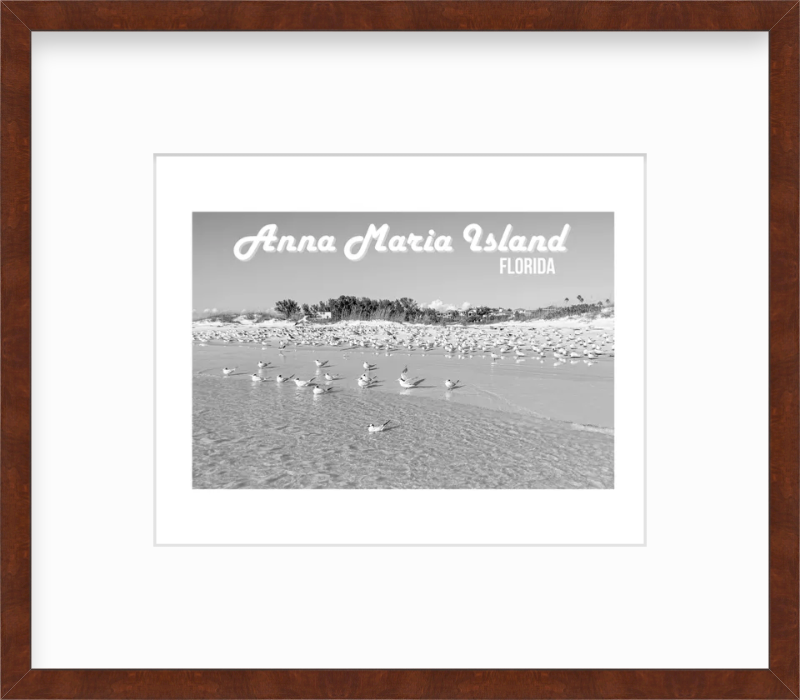 Florida Anna Maria Island Shorebirds Giclee Travel Print
