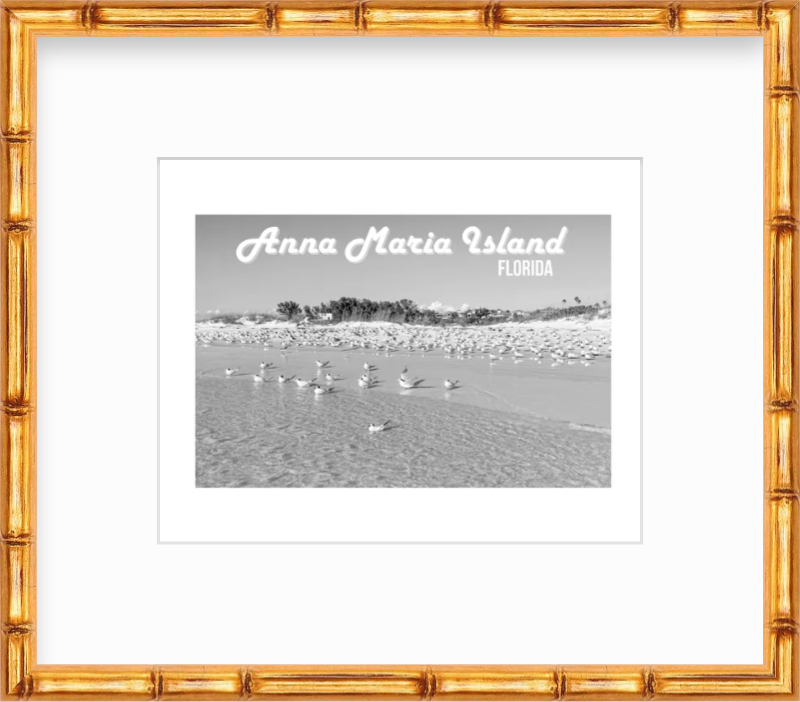 Florida Anna Maria Island Shorebirds Giclee Travel Print