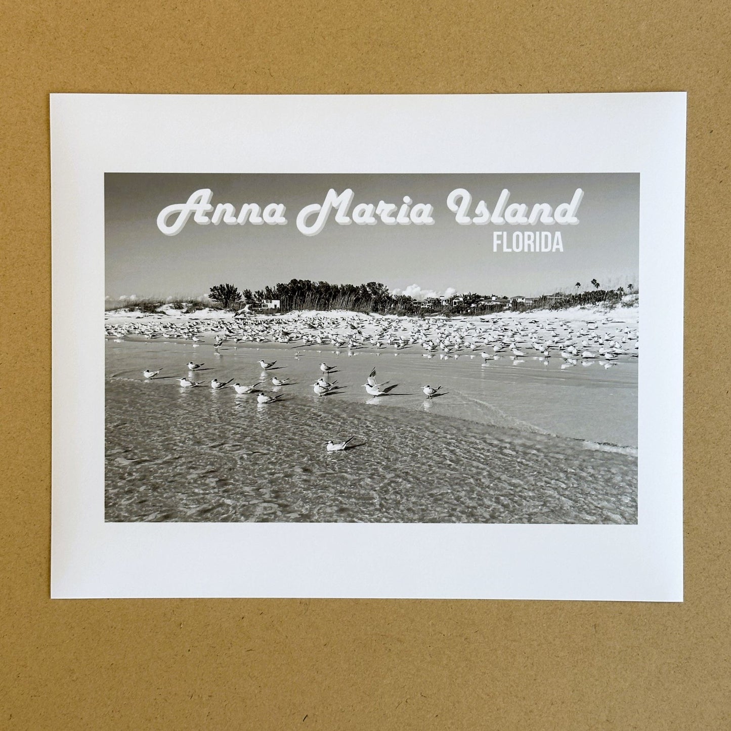 Florida Anna Maria Island Shorebirds Giclee Travel Print