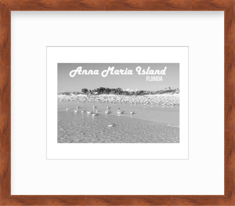 Florida Anna Maria Island Shorebirds Giclee Travel Print