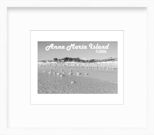 Florida Anna Maria Island Shorebirds Giclee Travel Print