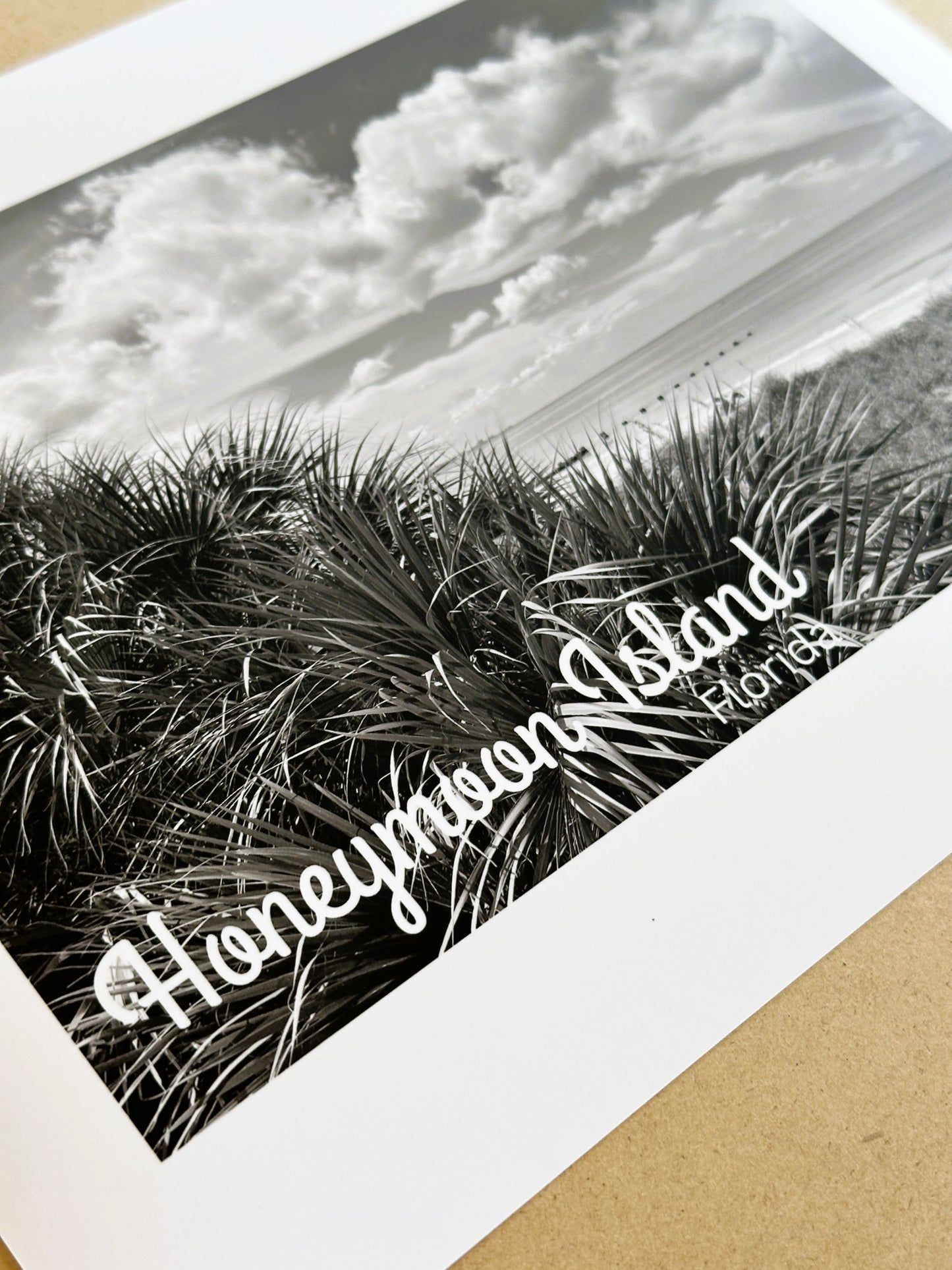 Florida Honeymoon Island State Park Giclee Travel Print