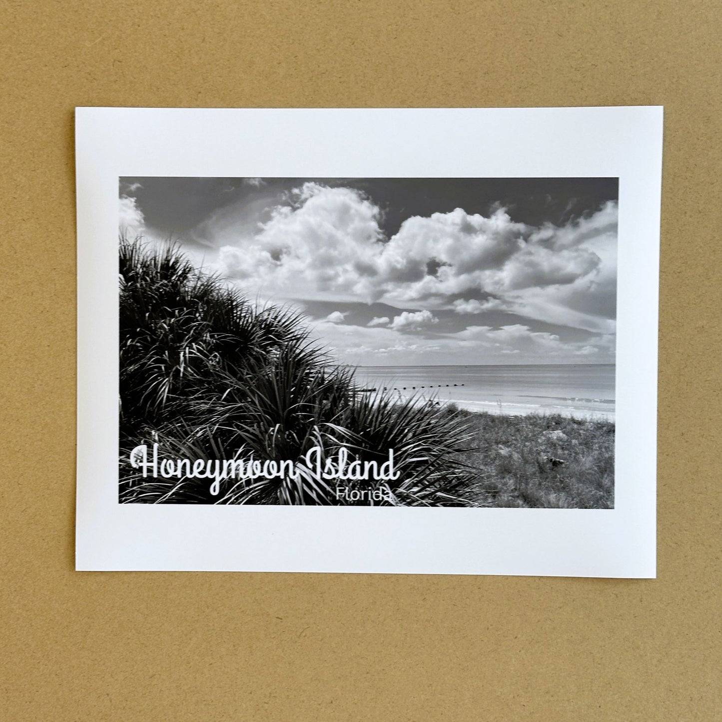 Florida Honeymoon Island State Park Giclee Travel Print