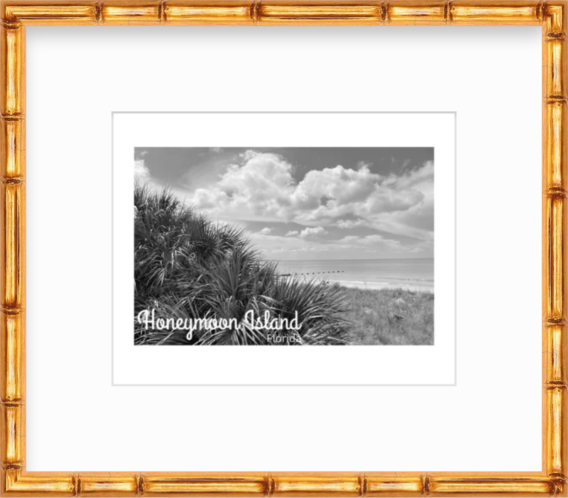 Florida Honeymoon Island State Park Giclee Travel Print