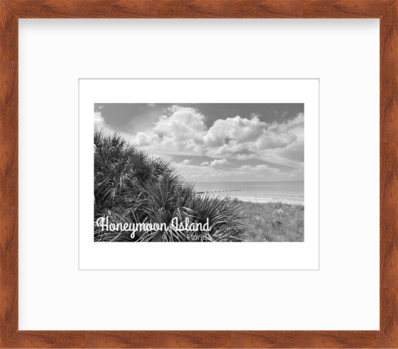 Florida Honeymoon Island State Park Giclee Travel Print