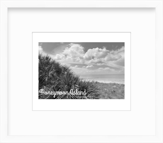Florida Honeymoon Island State Park Giclee Travel Print