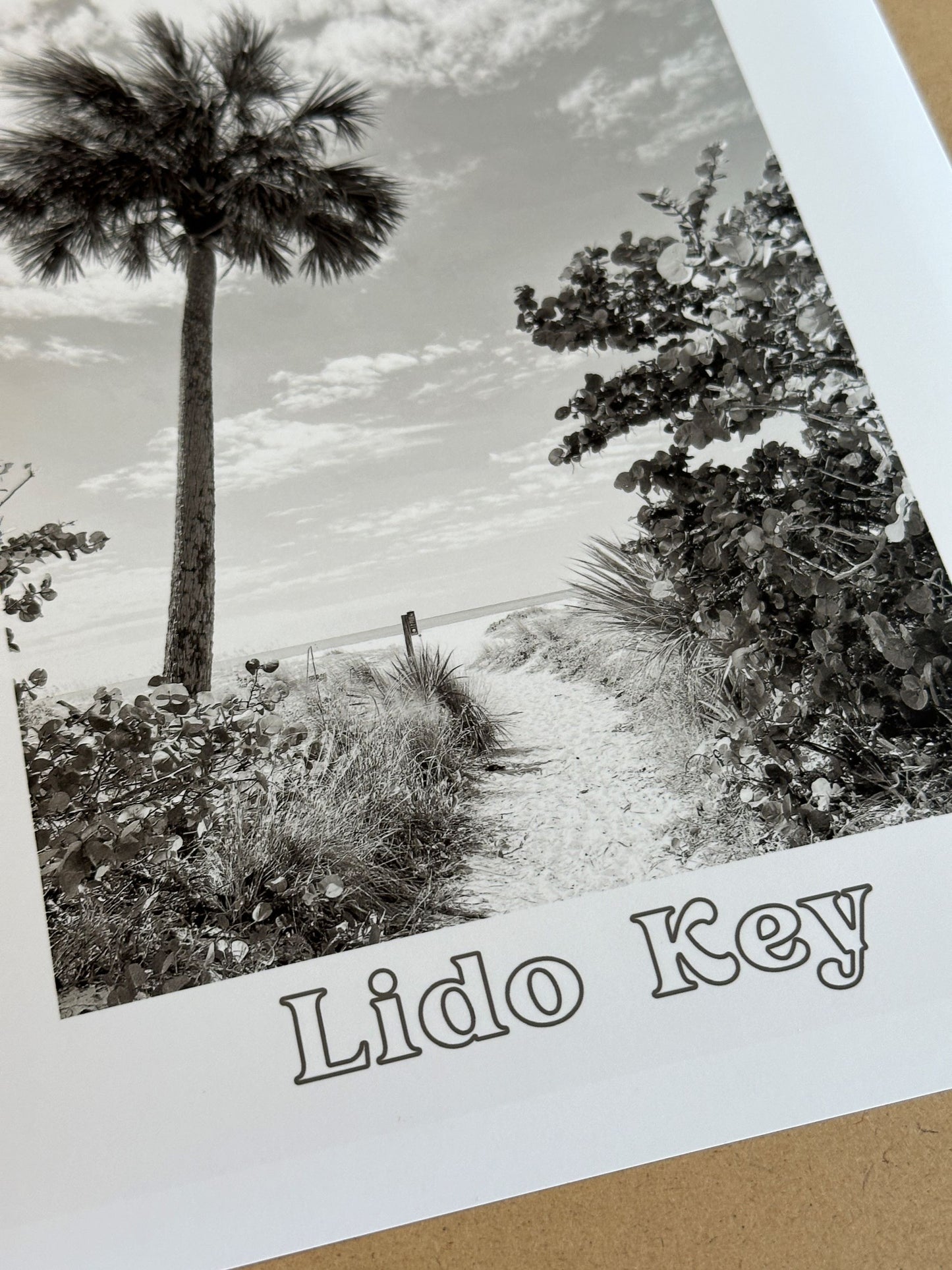 Florida Lido Key Beach Path Giclee Travel Print