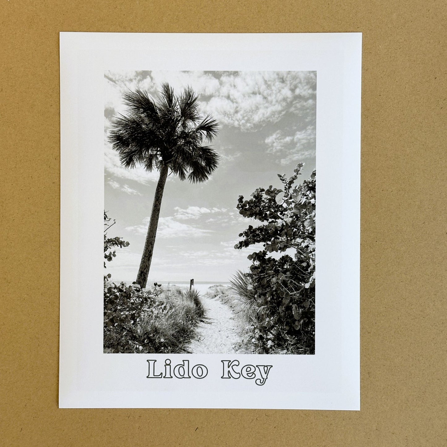 Florida Lido Key Beach Path Giclee Travel Print
