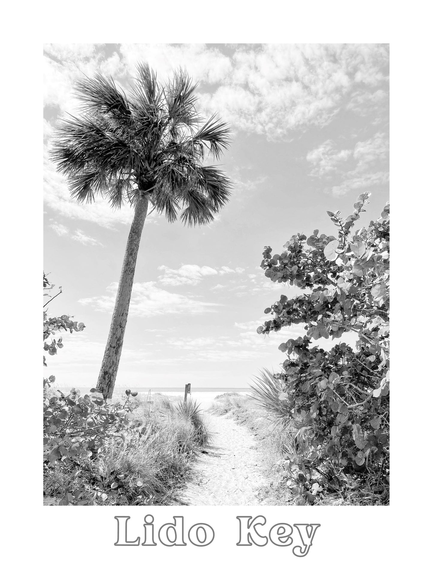Florida Lido Key Beach Path Giclee Travel Print