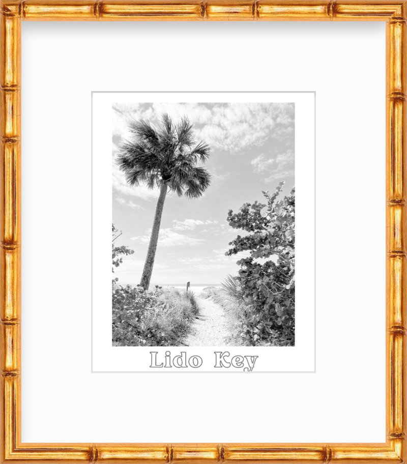 Florida Lido Key Beach Path Giclee Travel Print