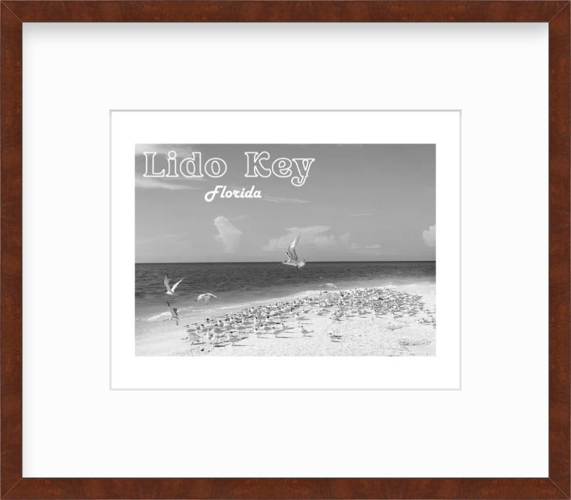 Florida Lido Key Beach Shorebirds Giclee Travel Print