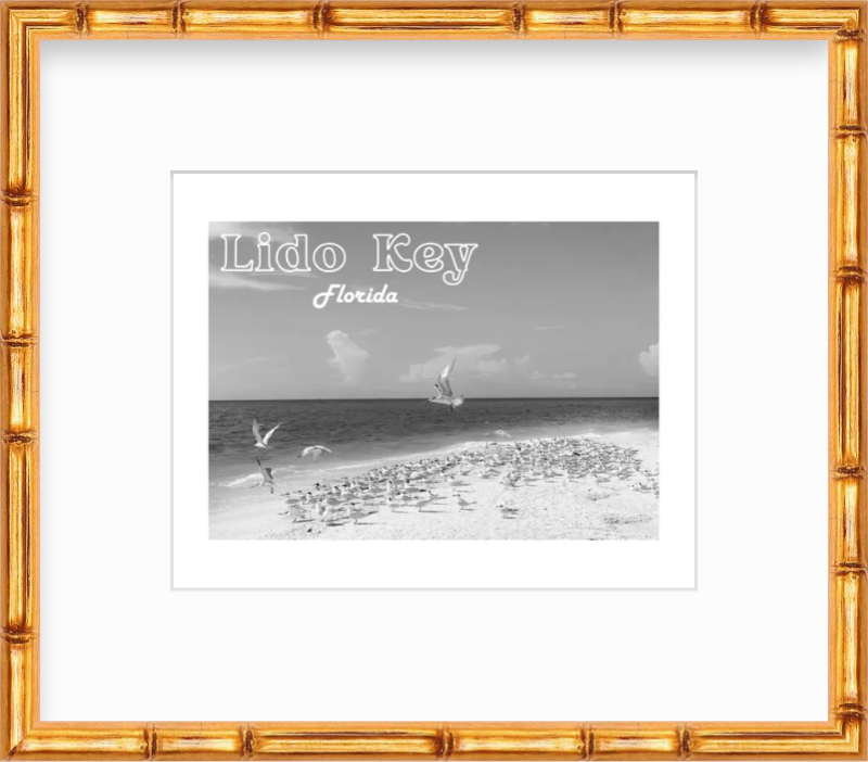 Florida Lido Key Beach Shorebirds Giclee Travel Print