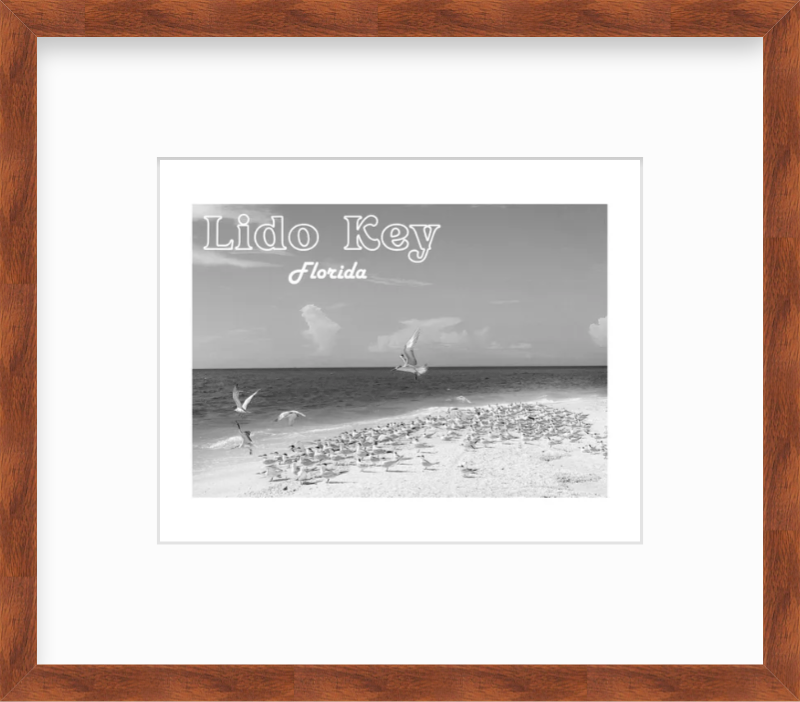 Florida Lido Key Beach Shorebirds Giclee Travel Print