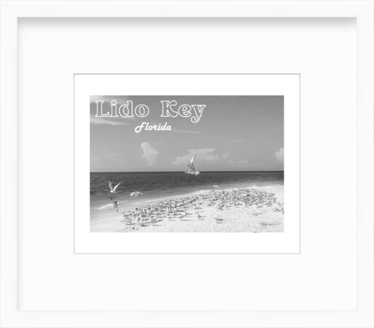 Florida Lido Key Beach Shorebirds Giclee Travel Print