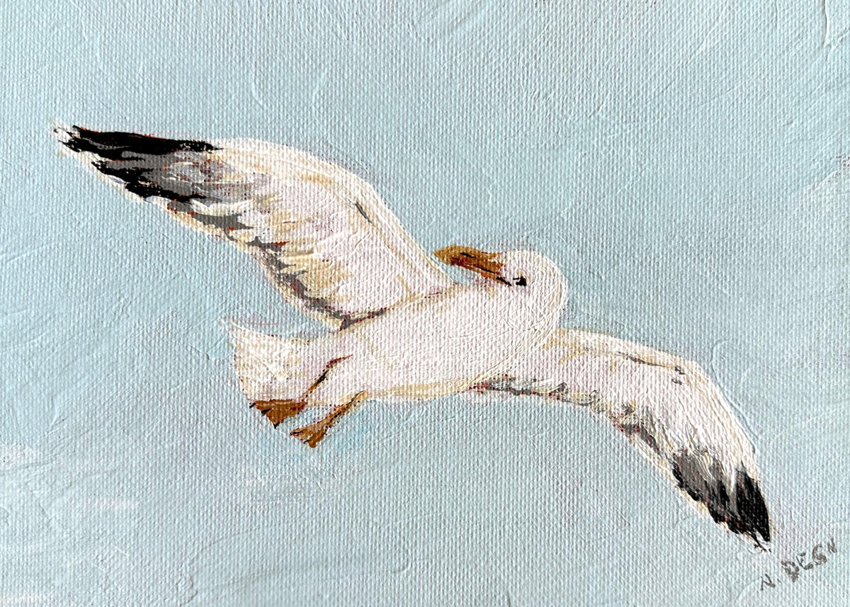 Florida Seagull Flying Original Painting on Canvas by Nikki Degn Wood Framed