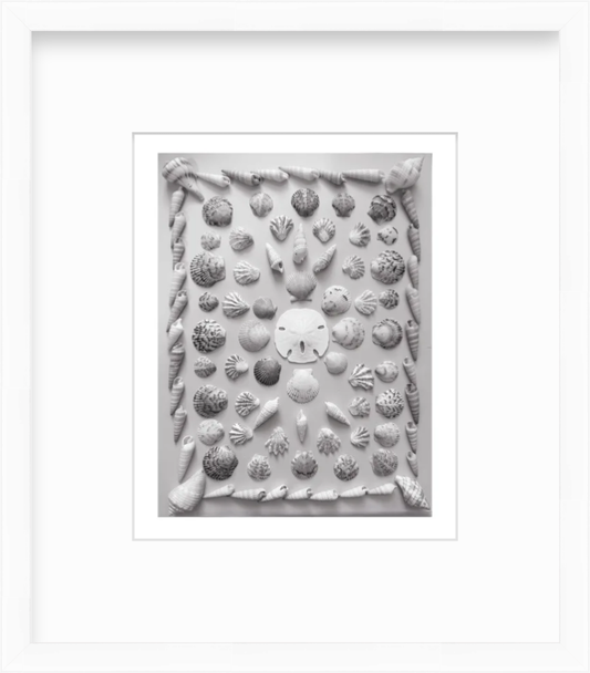 Florida Shell Collection Art Print Black and White, Giclee Art Print, Unframed
