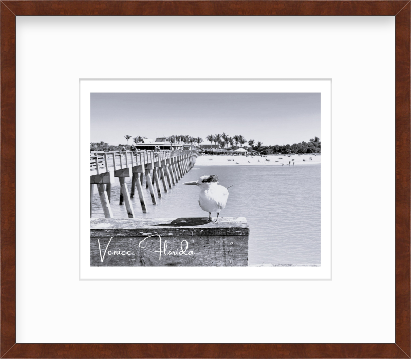 Florida Venice Beach Pier Giclee Travel Print