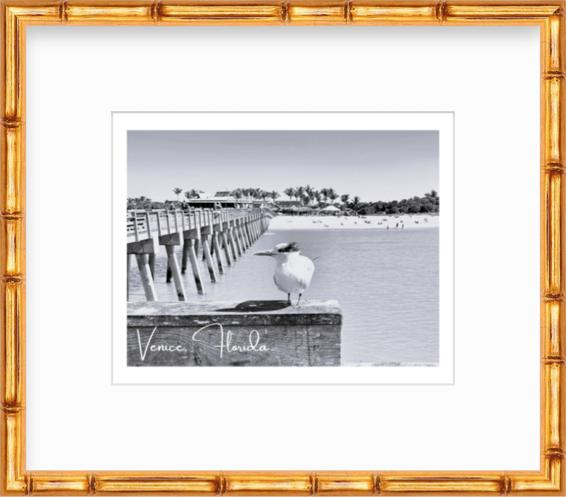Florida Venice Beach Pier Giclee Travel Print