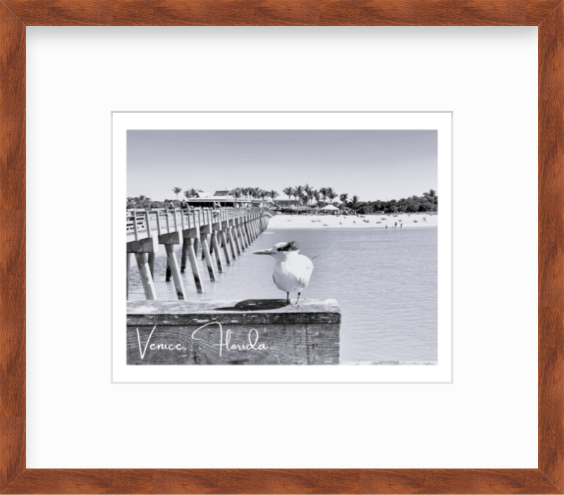 Florida Venice Beach Pier Giclee Travel Print