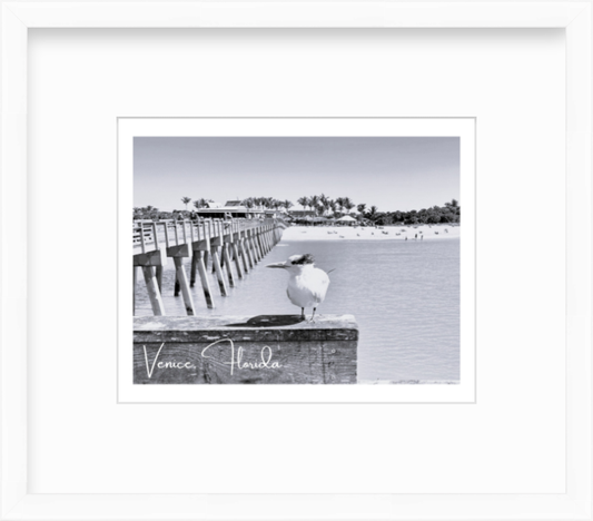 Florida Venice Beach Pier Giclee Travel Print