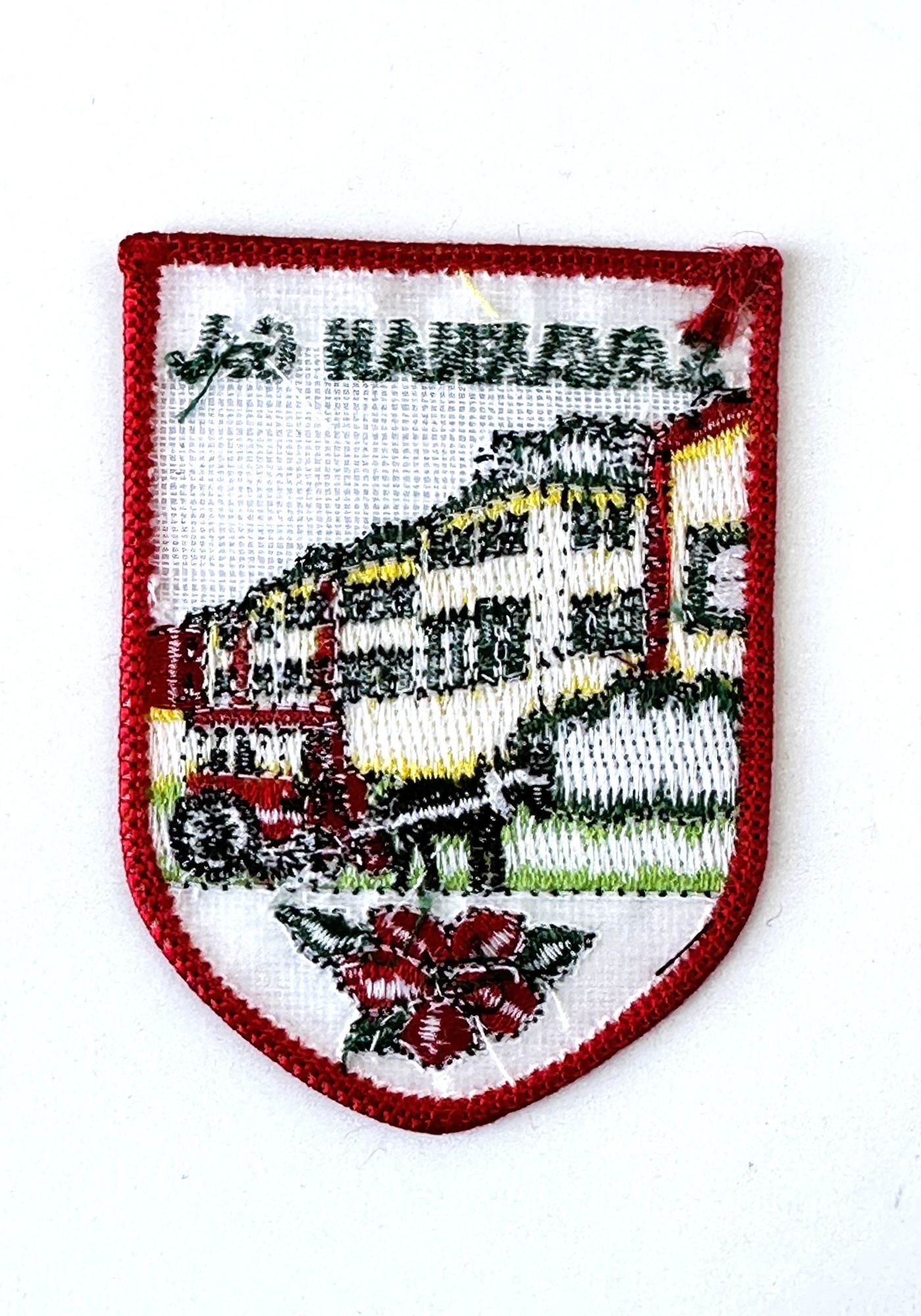 Georgia Savannah Carriage Vintage Patch