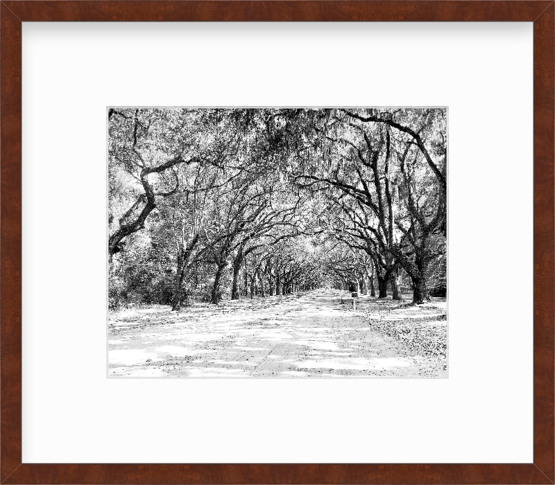 Georgia Savannah Wormsloe Historic Site Giclee Travel Print