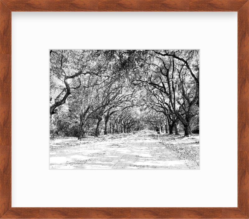 Georgia Savannah Wormsloe Historic Site Giclee Travel Print