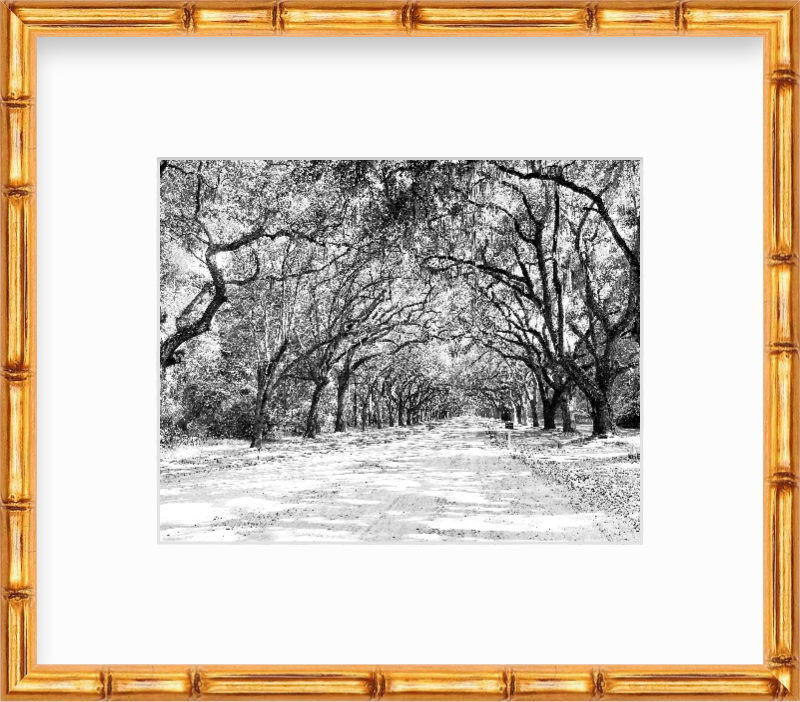 Georgia Savannah Wormsloe Historic Site Giclee Travel Print