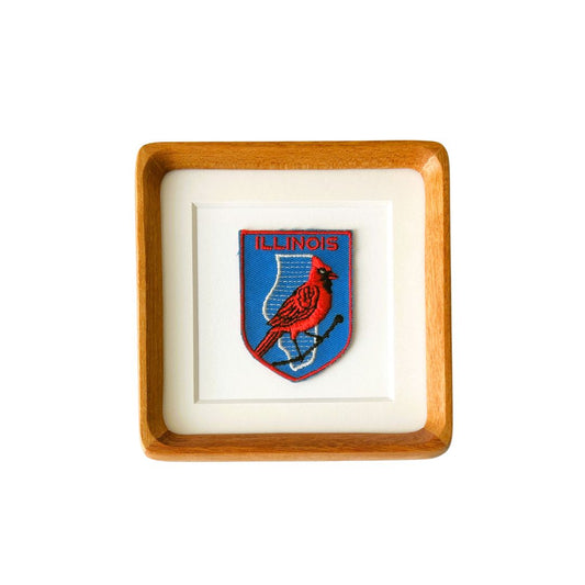 Illinois State Bird Vintage Framed Travel Patch