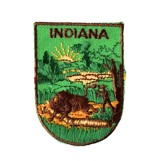 Indiana Country Scene Bison Vintage Patch