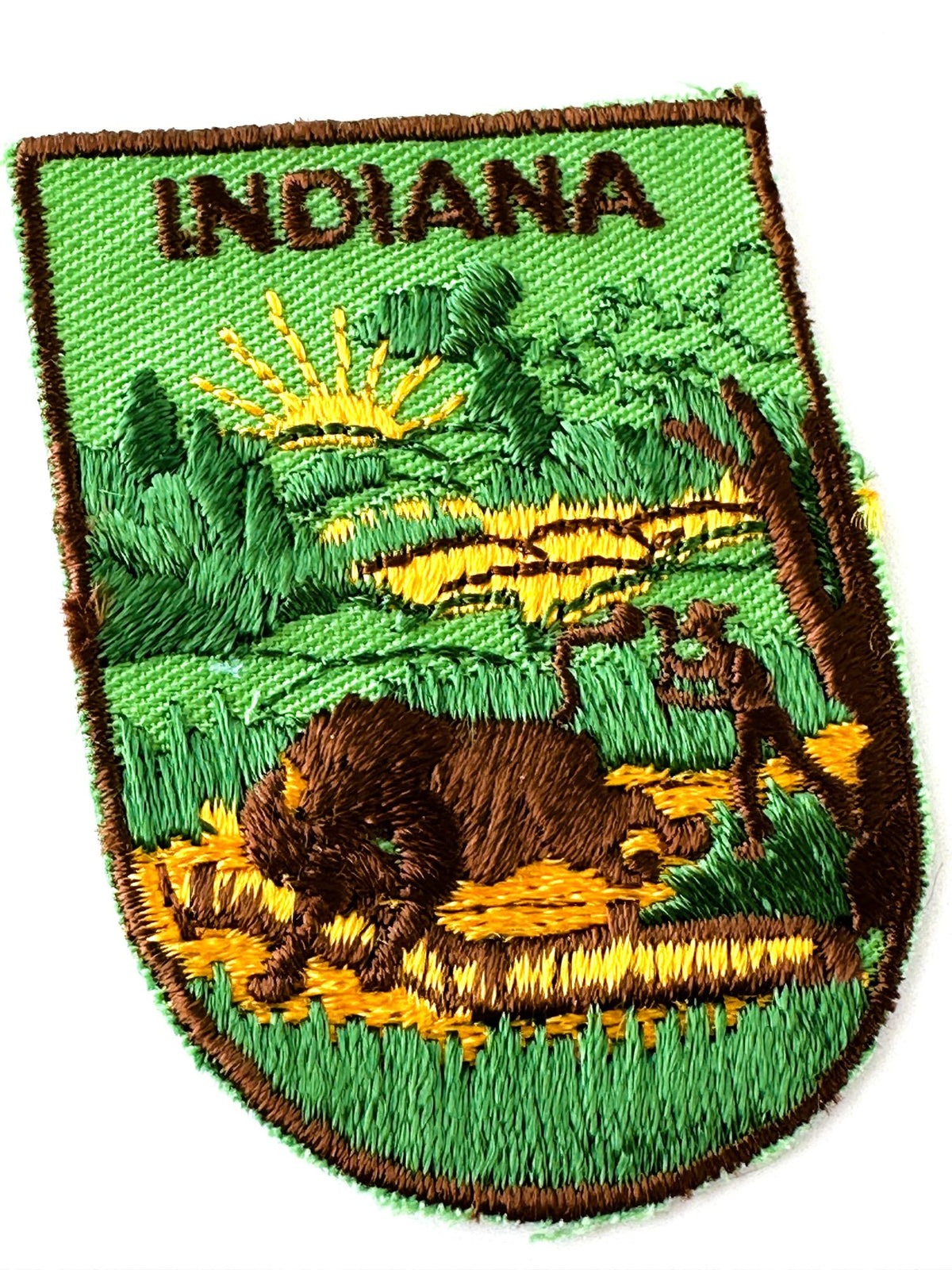 Indiana Country Scene Bison Vintage Patch