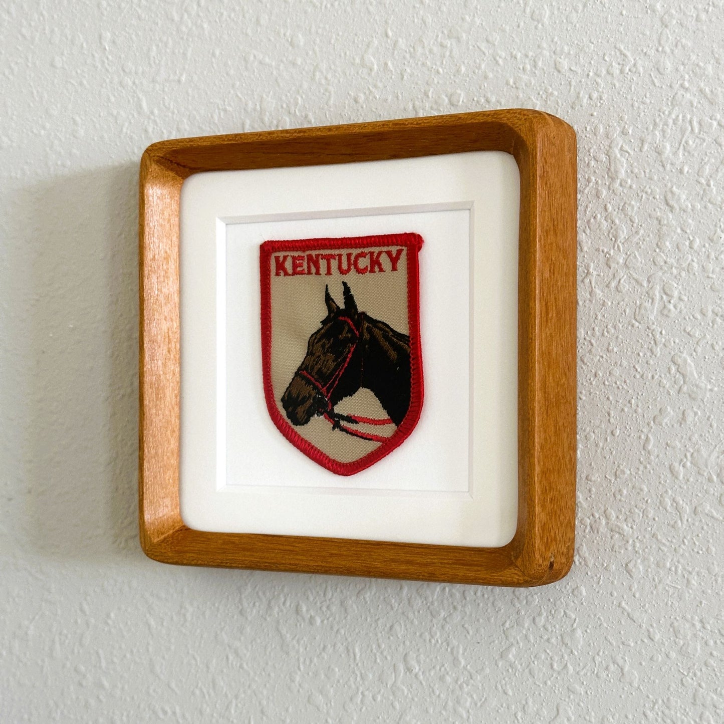 Kentucky Brown Horse Vintage Framed Travel Patch