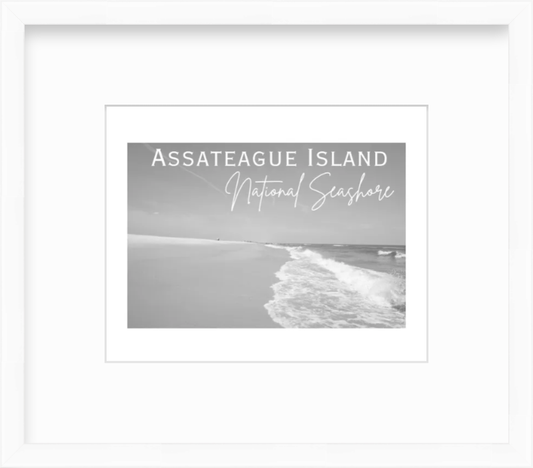 Maryland Assateague National Seashore Giclee Travel Print