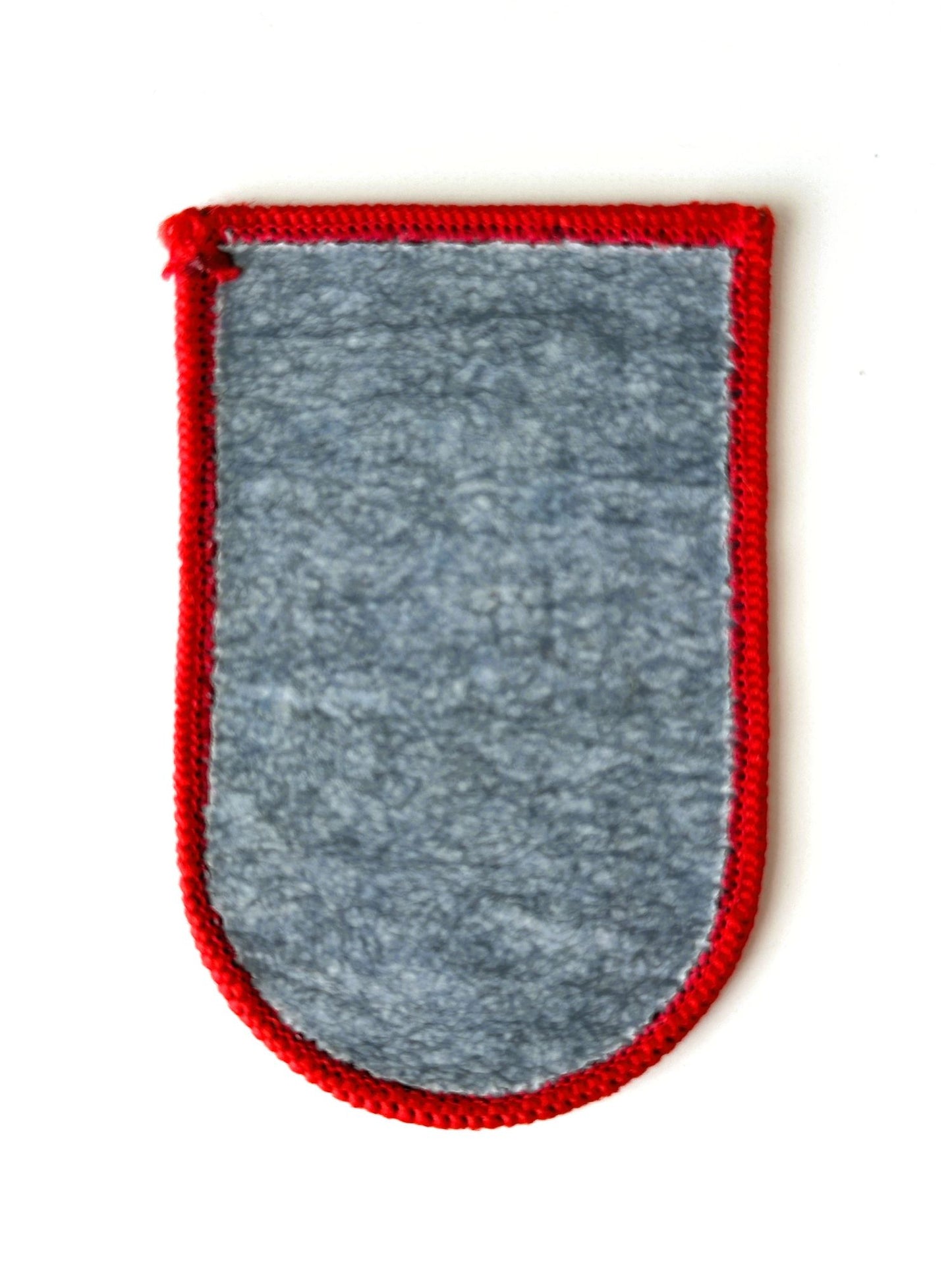 Michigan Holland Red Tulip Vintage Patch