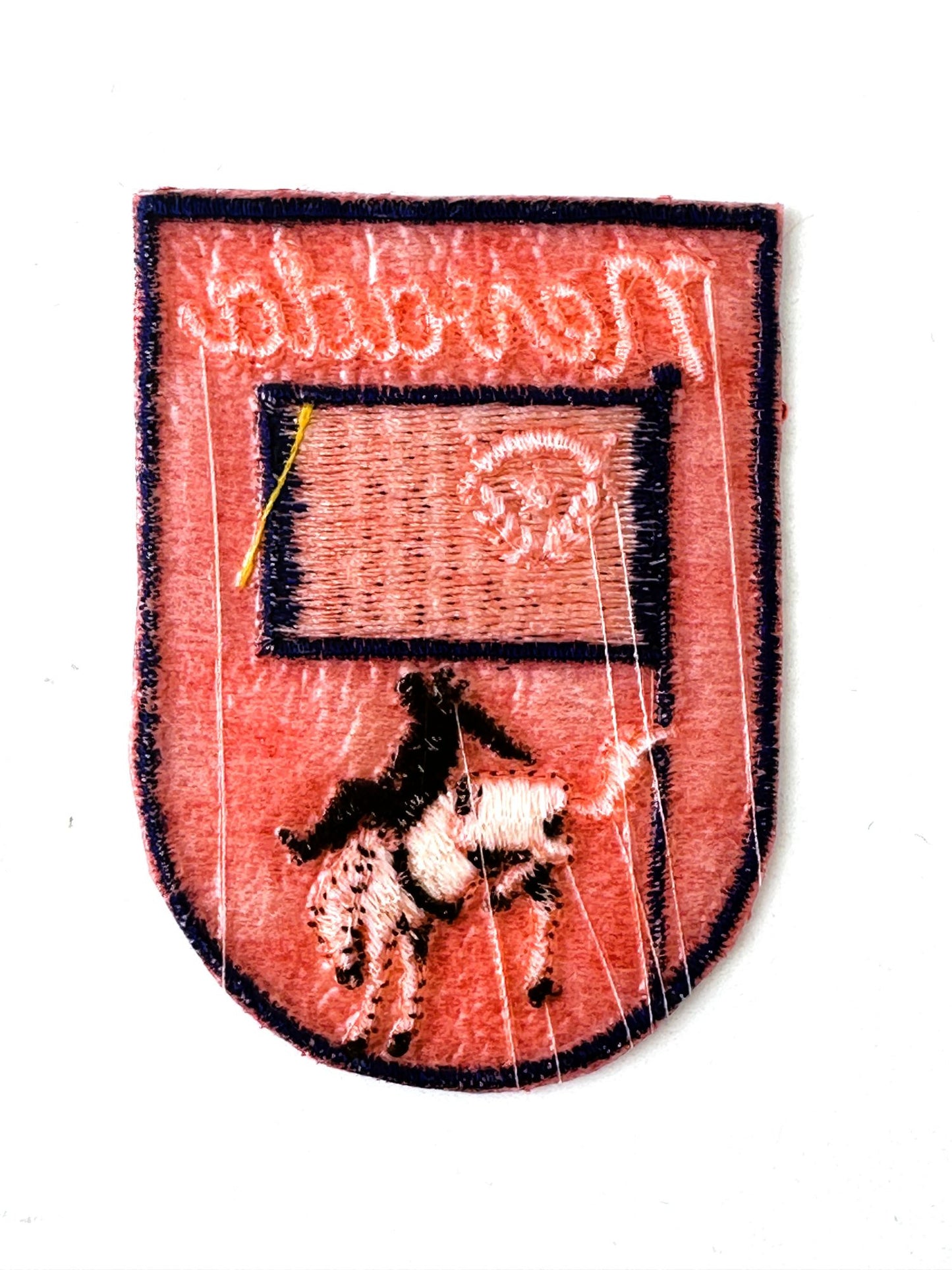 Nevada Flag and Horse Vintage Patch