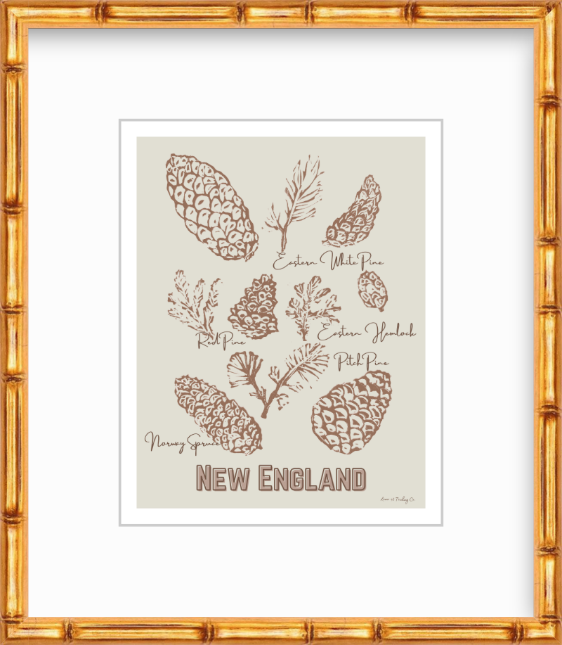 New England Pinecones Block Print by Nikki Degn Giclee Art Print