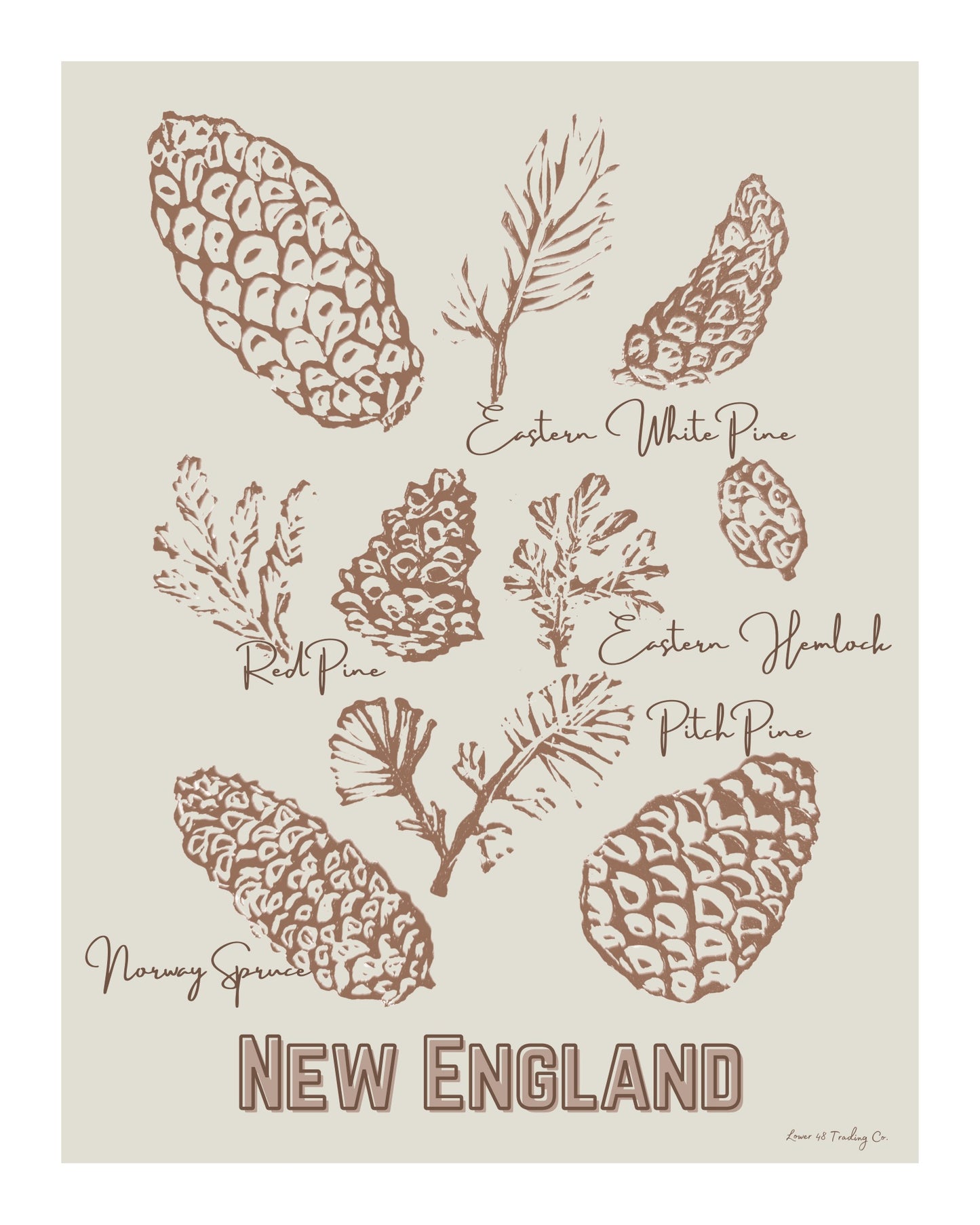 New England Pinecones Block Print by Nikki Degn Giclee Art Print