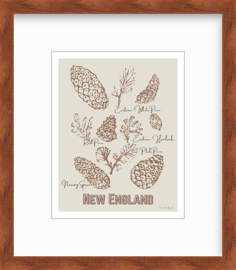 New England Pinecones Block Print by Nikki Degn Giclee Art Print