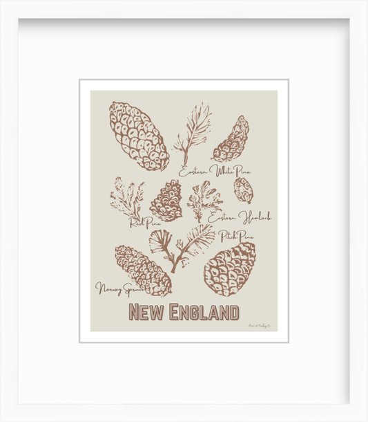 New England Pinecones Block Print by Nikki Degn Giclee Art Print