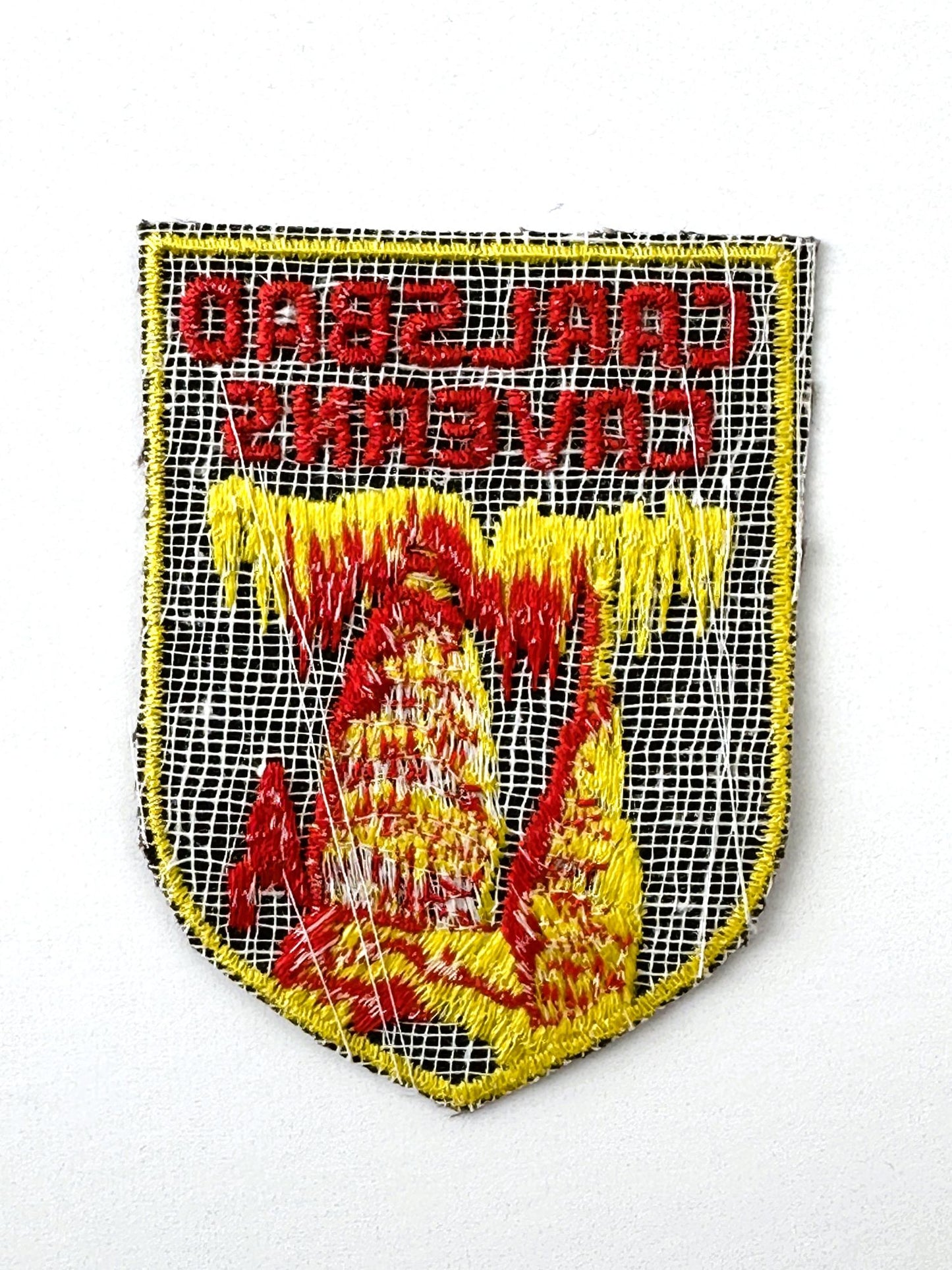 New Mexico Carlsbad Caverns National Park Vintage Patch